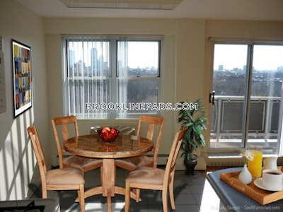 Brookline Apartment for rent 1 Bedroom 1 Bath  Boston University - $2,700