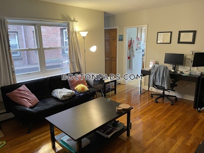 Brighton 1 Bed 1 Bath Boston - $2,340