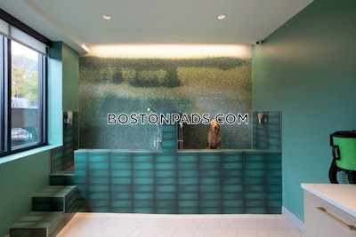 Mission Hill 2 Beds No Bath Boston - $3,375 No Fee