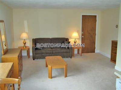 Arlington Apartment for rent 1 Bedroom 1 Bath - $2,600