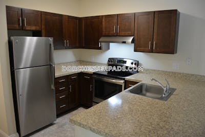 Dorchester Studio 1 Bath Boston - $2,480