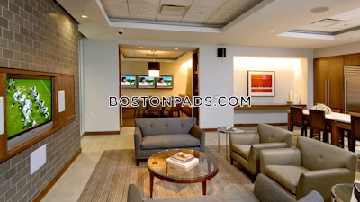 Downtown Apartment for rent 1 Bedroom 1 Bath Boston - $4,170