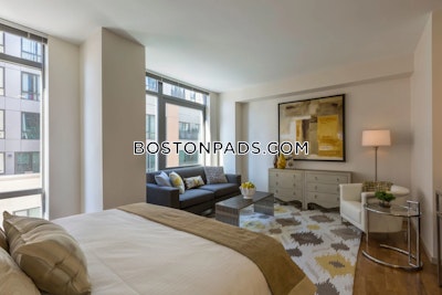 West End Apartment for rent 2 Bedrooms 1 Bath Boston - $5,930