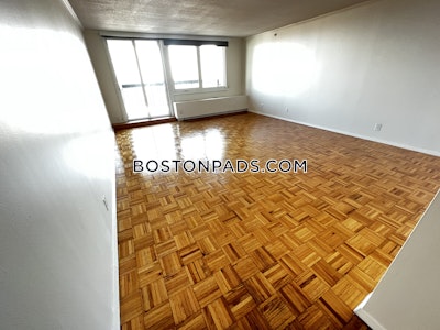 West End Apartment for rent 1 Bedroom 1 Bath Boston - $3,890