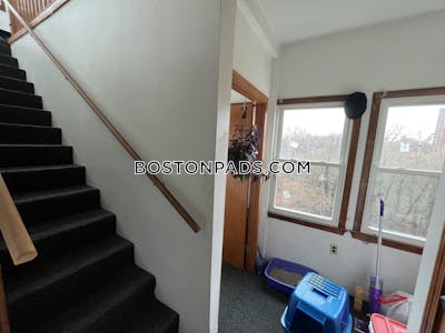 Fort Hill Apartment for rent 3 Bedrooms 1 Bath Boston - $3,600