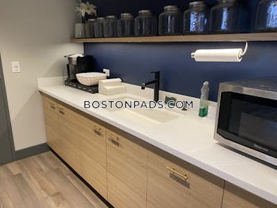 Allston Apartment for rent 1 Bedroom 1 Bath Boston - $3,020