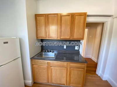 Brighton Apartment for rent 1 Bedroom 1 Bath Boston - $2,275 50% Fee