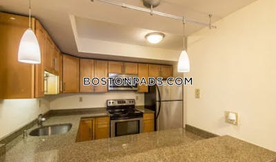 Cambridge Apartment for rent 2 Bedrooms 2 Baths  Central Square/cambridgeport - $3,850