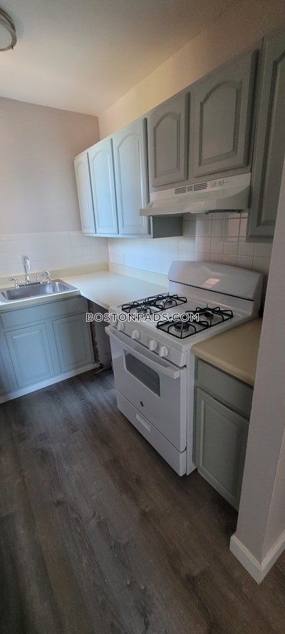 Roxbury Apartment for rent 1 Bedroom 1 Bath Boston - $2,650 50% Fee