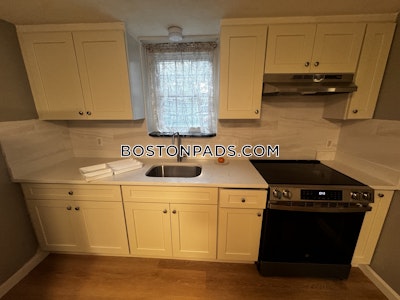 Brighton Apartment for rent 1 Bedroom 1 Bath Boston - $2,000