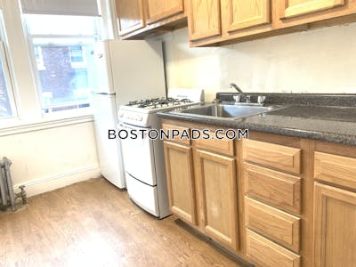 Allston/brighton Border Apartment for rent 1 Bedroom 1 Bath Boston - $2,250 50% Fee
