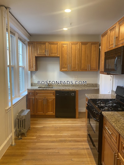 Brighton Apartment for rent 1 Bedroom 1 Bath Boston - $2,450