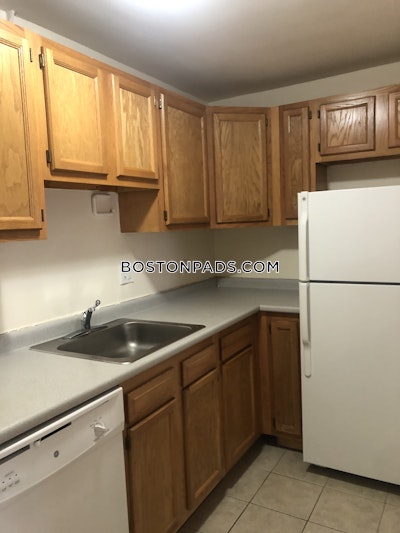 Allston Apartment for rent 1 Bedroom 1 Bath Boston - $2,750